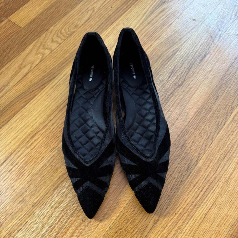 Birdies GOLDFINCH-15 pointed toe flat with slight heel, Size 9.5